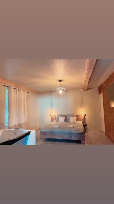 Superbe Avec Jacuzzi Et Jardin Prive